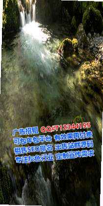阎良生子信息技术公司